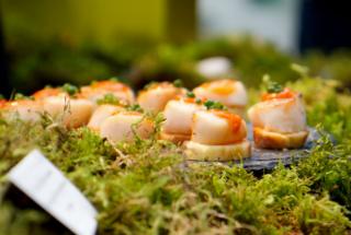 Culinary shot - appetizers