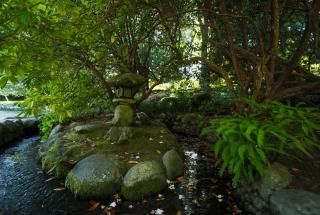 Japanese Garden