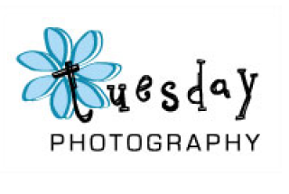 Tuesday Photography logo