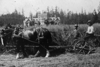 Archival image of Chinese workers at Hatley Park