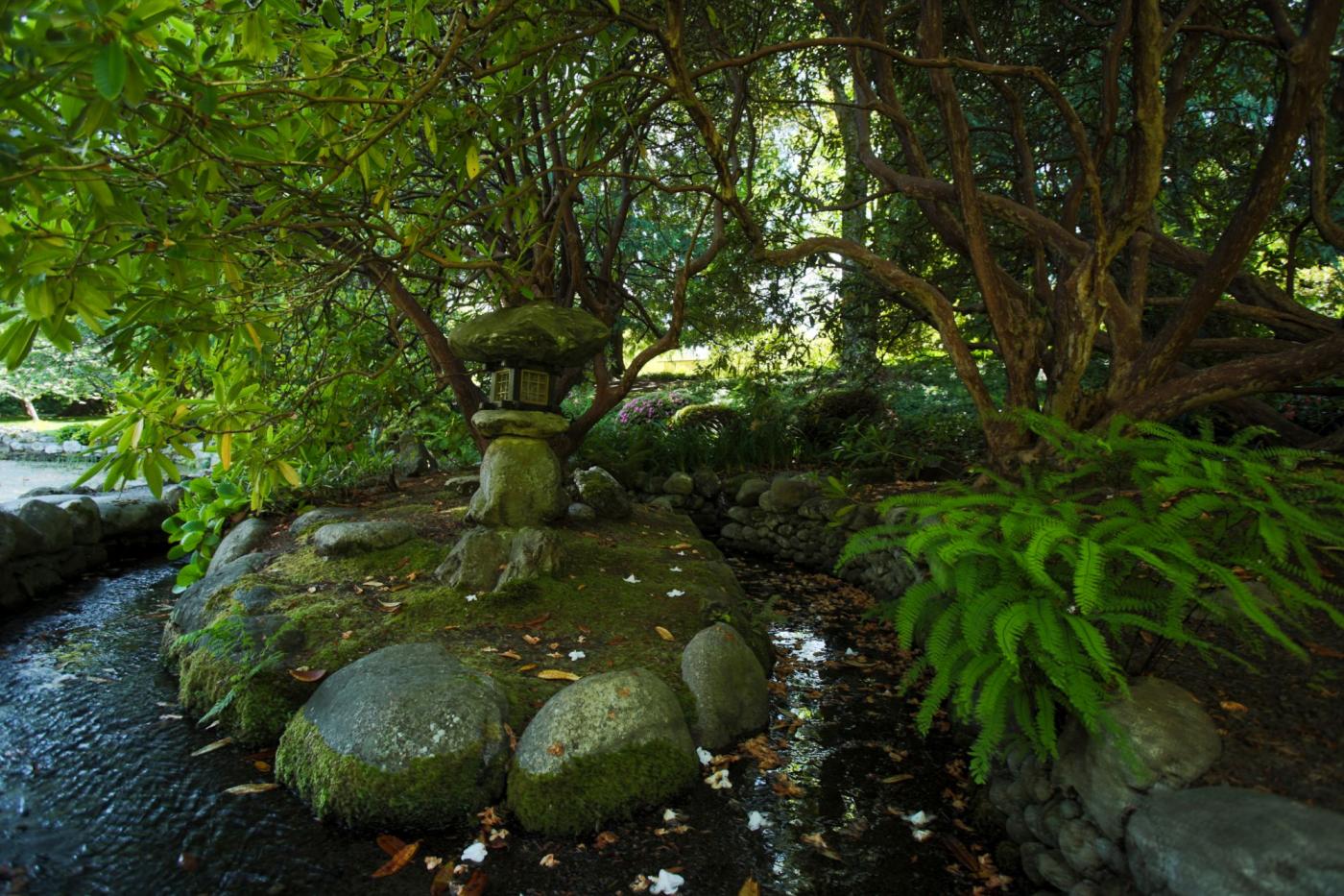 Japanese Garden