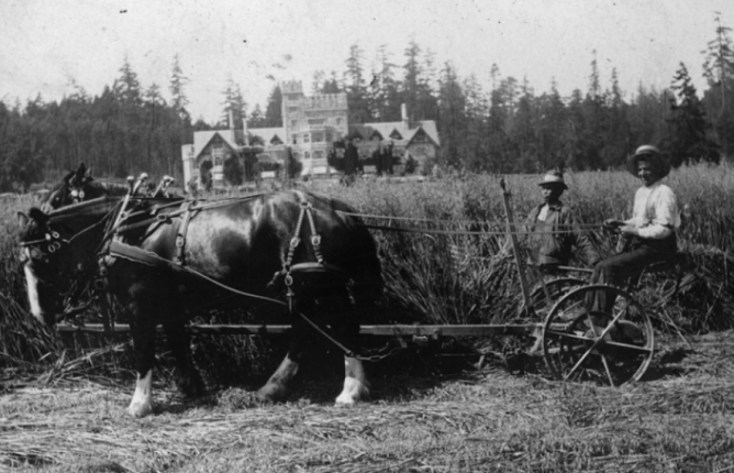 Archival image of Chinese workers at Hatley Park