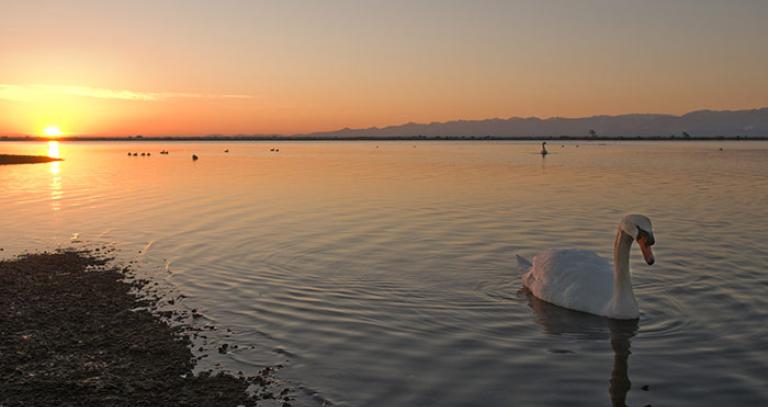 Sunlight sets over the Esquimalt Lagoon 